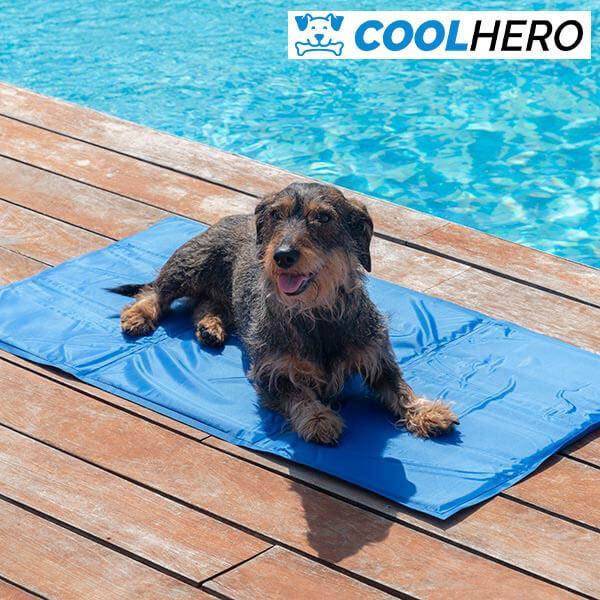 TAMPĂ DE RĂCIRE CU GEL RĂCORITOR PENTRU RĂCORIREA RAPIDĂ A ANIMALELOR DE COMPANIE COOLHERO™